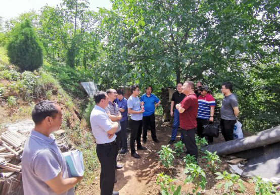 20200623/5ef1b31a65f6b.jpg 1.jpg