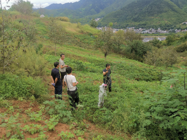 20210910/613b0ad9c85d9.jpg 4.jpg