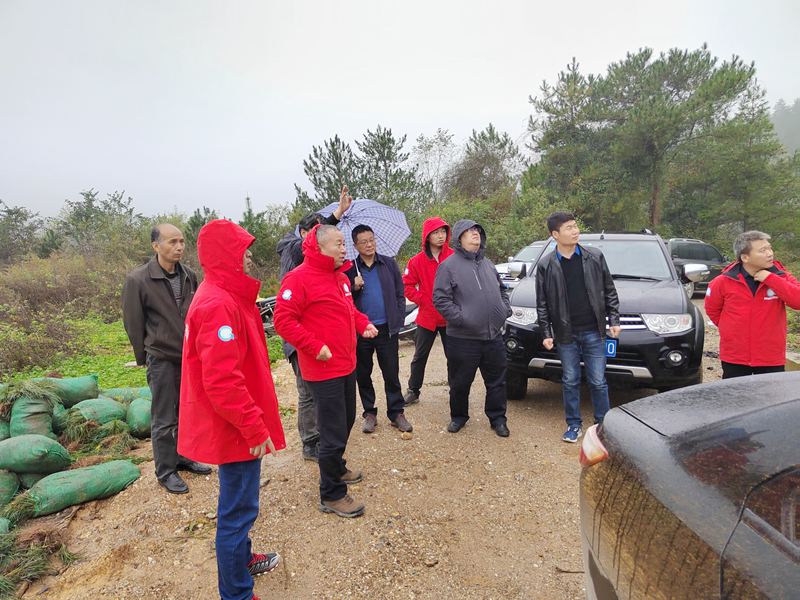 20211110/618b8cd613949.jpg 4.jpg