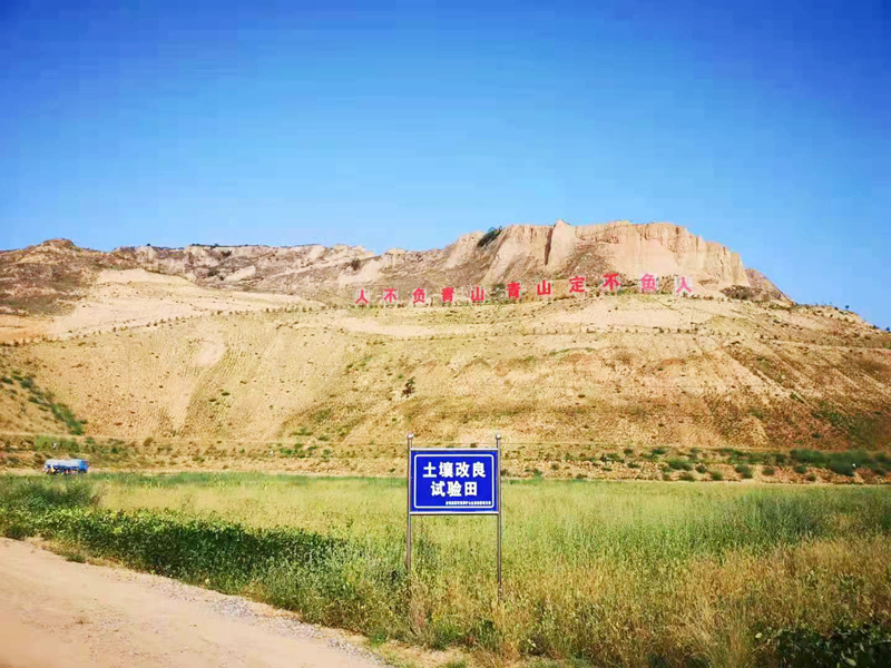 20220511/627b7ac5e03bd.jpg 3.jpg