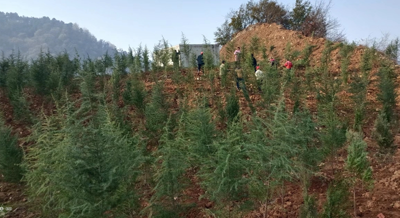 20240122/65ae2872c8635.jpg 3.jpg