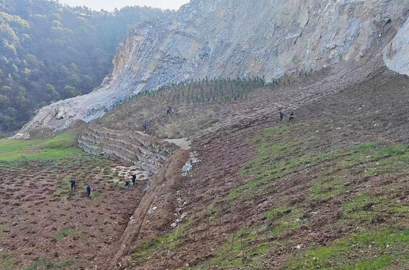 20240122/65ae29eac6669.jpg 4.jpg