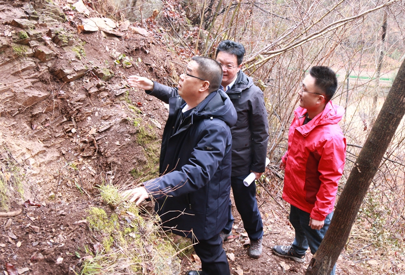 20240201/65bb81d728363.jpg 1.jpg