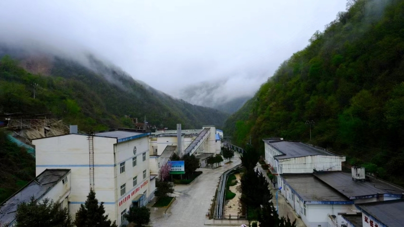 20250219/67b5a1c77e981.jpg 4.jpg