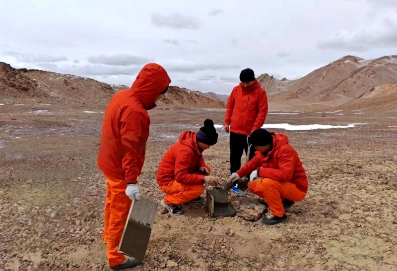 20251030/69032f6d6e2e2.jpg 2.jpg